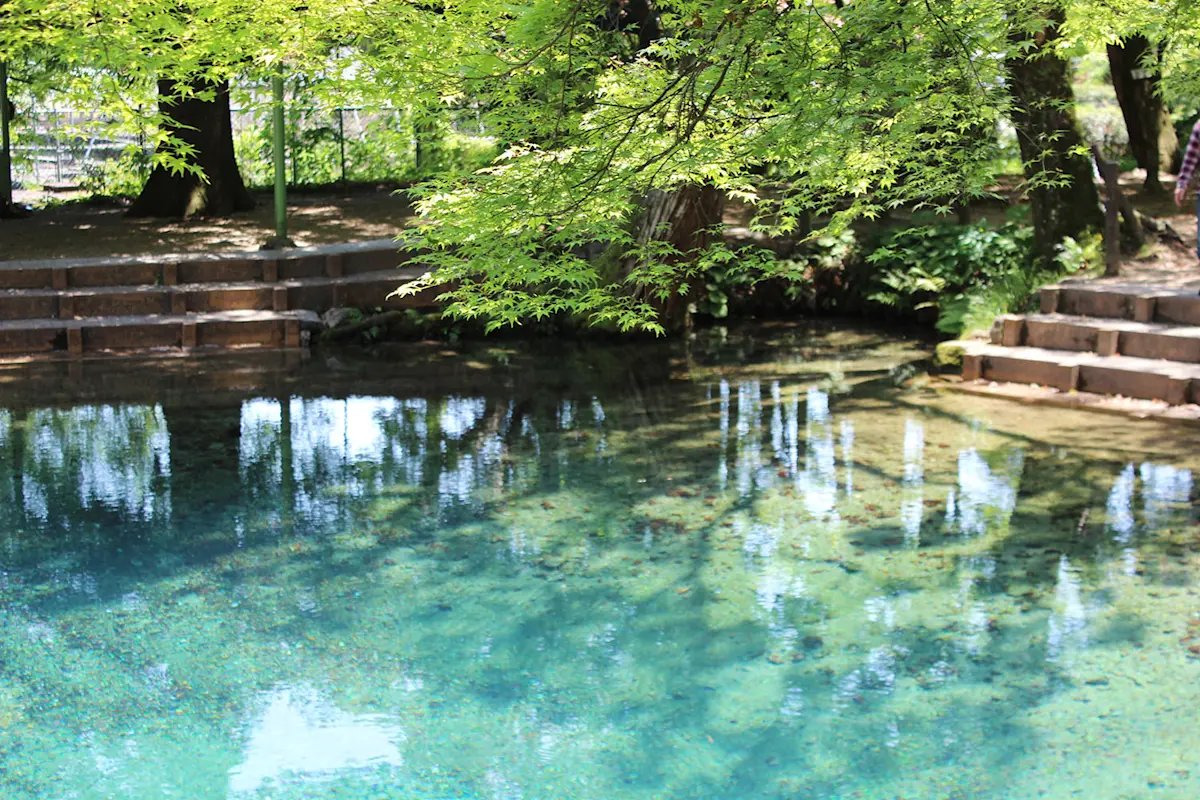 🌳 코미야 공원(코미야 코엔) 이미지 9